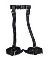 Albin