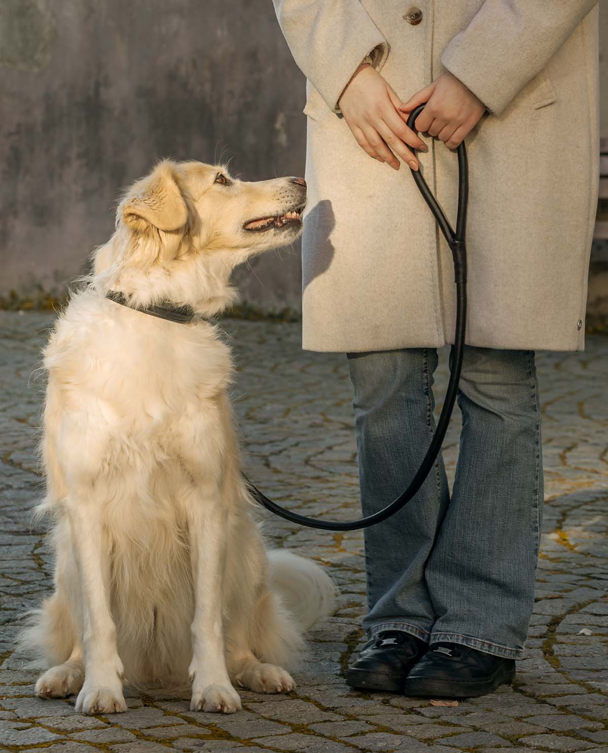 Gusti-Lederの黒革製犬用リード「アベラルド」 – Gusti Leder